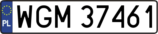 WGM37461
