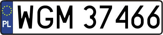 WGM37466