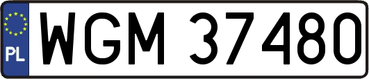 WGM37480