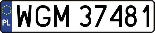 WGM37481