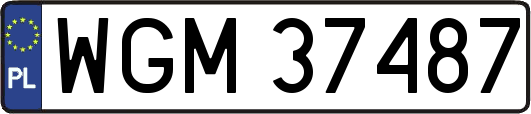 WGM37487