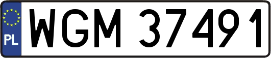 WGM37491