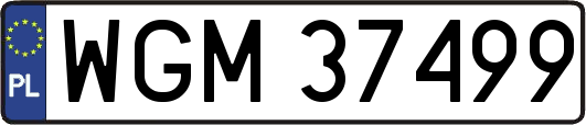 WGM37499