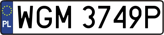 WGM3749P