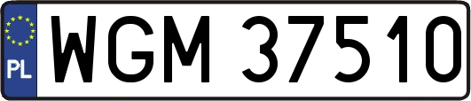 WGM37510