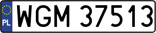 WGM37513