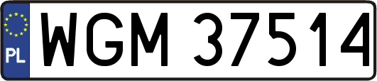 WGM37514