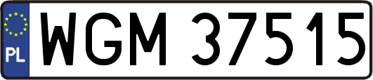 WGM37515