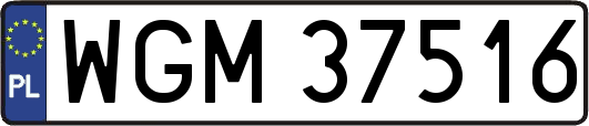 WGM37516