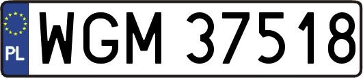 WGM37518