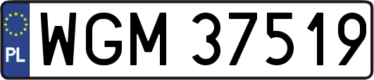 WGM37519
