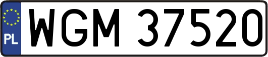 WGM37520