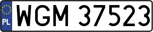 WGM37523