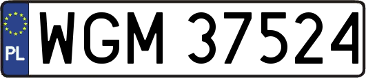 WGM37524