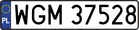 WGM37528