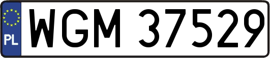 WGM37529