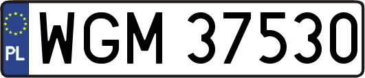 WGM37530