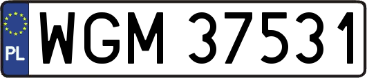 WGM37531
