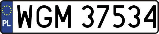 WGM37534
