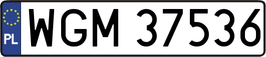 WGM37536