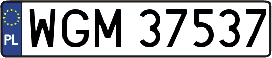WGM37537