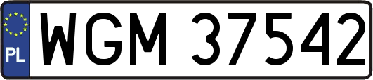WGM37542