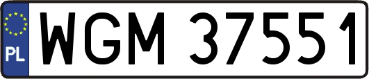 WGM37551