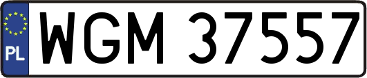 WGM37557