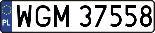 WGM37558