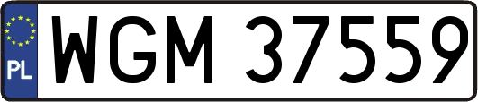 WGM37559