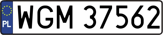 WGM37562