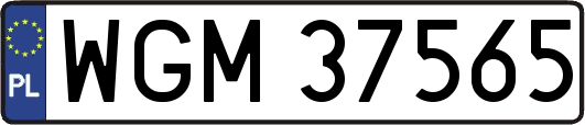 WGM37565