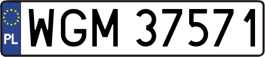 WGM37571