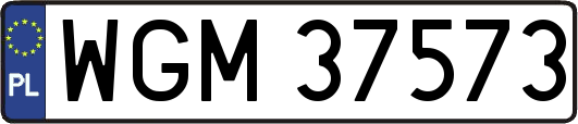 WGM37573
