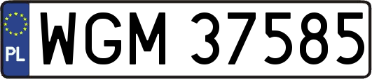 WGM37585