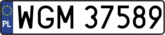 WGM37589
