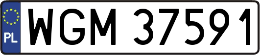 WGM37591