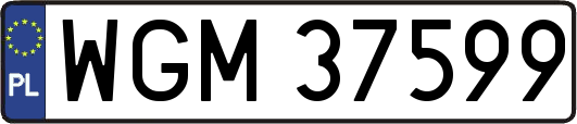 WGM37599