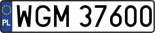 WGM37600