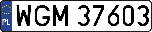 WGM37603