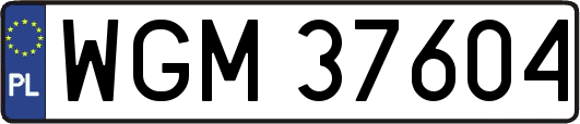 WGM37604