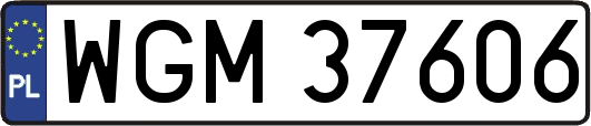 WGM37606