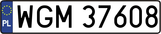 WGM37608
