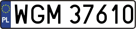 WGM37610