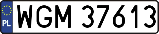WGM37613