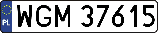 WGM37615