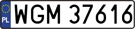 WGM37616
