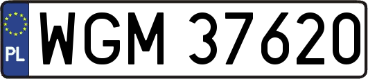 WGM37620