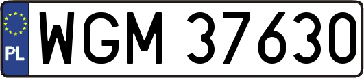 WGM37630