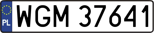 WGM37641